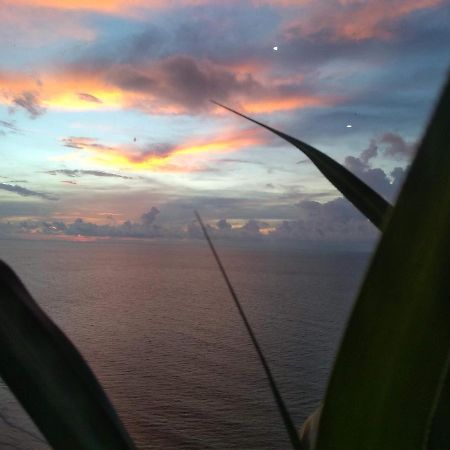 Cartagena Palmetto Beach Bella Vista Екстер'єр фото